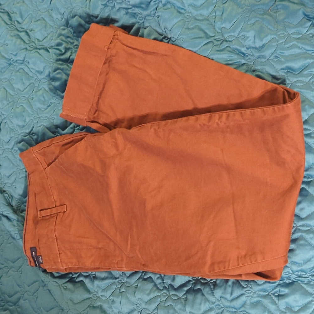 Brown/rust colored pants size 10